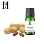 Arachide huile végétale (Arachis hypogaea) - HBV Huiles et Beurres