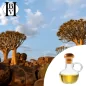 Baobab-Pflanzenöl (Adansonia digitata) - HBV Öle und Butter