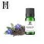 huile végétale Bourrache (Borago Officinalis) - HBV Huiles et Beurres