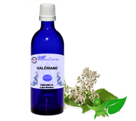 Valériane, Hydrolat (Valeriana officinalis) - Aroma Centre