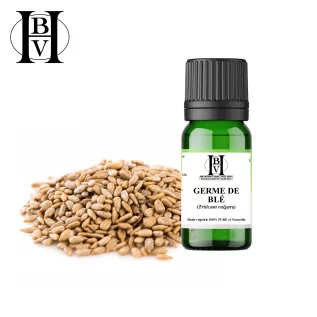 Wheat Germ Vegetable Oil (Triticum vulgare) - HBV Oils and Butters