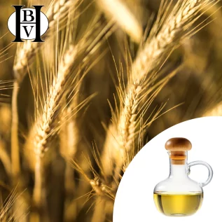huile végétale Germe de Blé (Triticum vulgare)