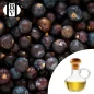 Aceite vegetal de grosella negra (Ribes nigrum) - Aceites y Mantequillas HBV