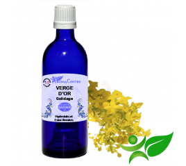 Verge d'Or - Solidage, Hydrolat (Solidago canadensis) - Aroma Centre
