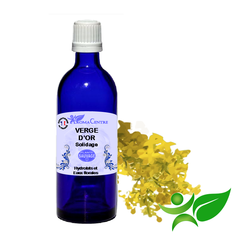 Verge d'Or - Solidage, Hydrolat (Solidago canadensis) - Aroma Centre