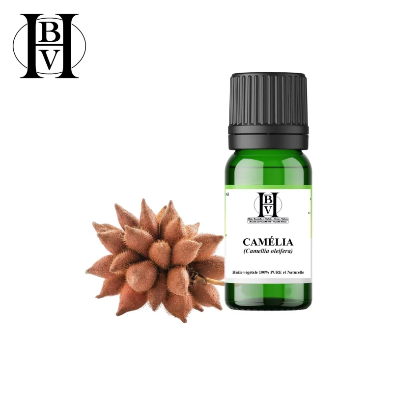 Camellia (tea) vegetable oil (Camellia oleifera) - HBV Oils and Butters