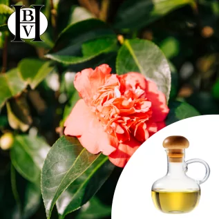 Camellia oleifera bitkisel yağı