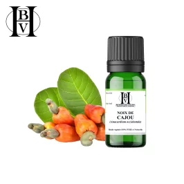 Cashew Nut Vegetable Oil (Anacardium occidentale) - HBV Oils and Butters