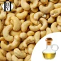 Cashew Nut Vegetable Oil (Anacardium occidentale) - HBV Oils and Butters Cashew Nut Vegetable Oil (Anacardium occidentale) - HBV Oils and Butters