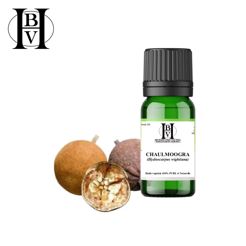 Chaulmoogra vegetable oil (Hydnocarpus wightiana) - HBV Oils and Butters Chaulmoogra vegetable oil (Hydnocarpus wightiana) - HBV Oils and Butters