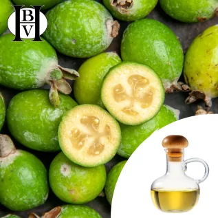 Aceite vegetal Chaulmoogra - Aceites y mantecas HBV