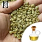 Café vert huile végétale (Coffea Arabica) - HBV Huiles et Beurres