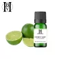 Lime vegetable oil (Citrus aurantifolia) - HBV Oils and Butters
