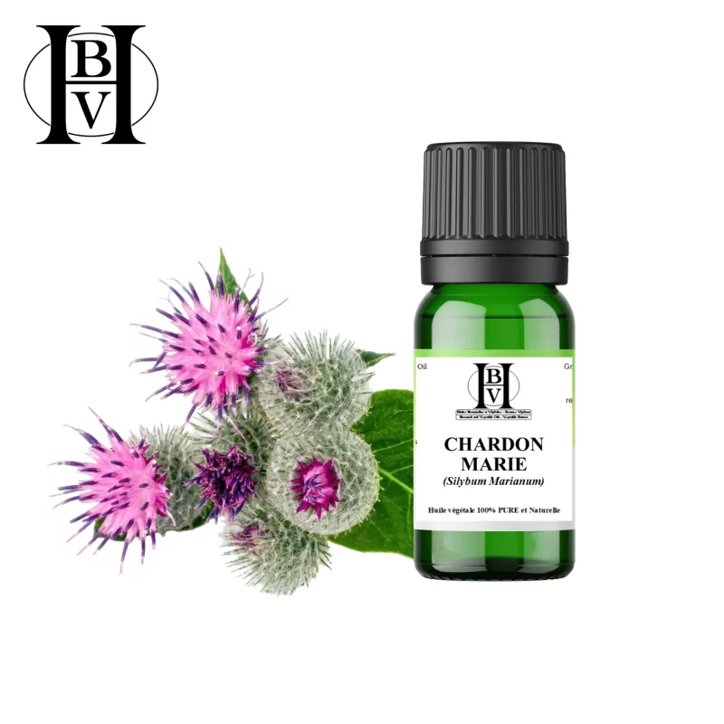 Mariendistel-Pflanzenöl (Silybum Marianum) - HBV Öle und Butter Mariendistel-Pflanzenöl (Silybum Marianum) - HBV Öle und Butter