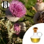 Milk Thistle Vegetable Oil (Silybum Marianum) - HBV Oils and Butters