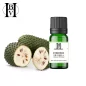 Soursop (Graviola) Pflanzenöl (Annona Muricata) - HBV Öle und Butter
