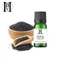 Nigella (Siyah Kimyon) bitkisel yağı (Nigella sativa) - HBV Yağları ve Tereyağı Nigella (Siyah Kimyon) bitkisel yağı (Nigella sativa) - HBV Yağları ve Tereyağı