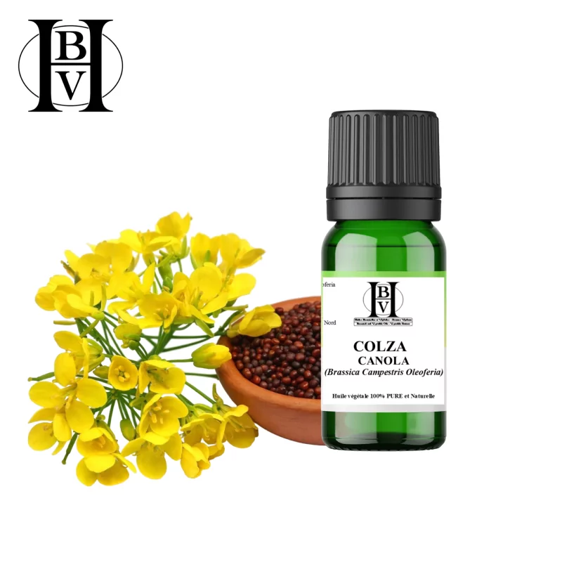 Canola (Rapeseed) vegetable oil (Brassica Campestris Oleoferia) - HBV Oils and Butters