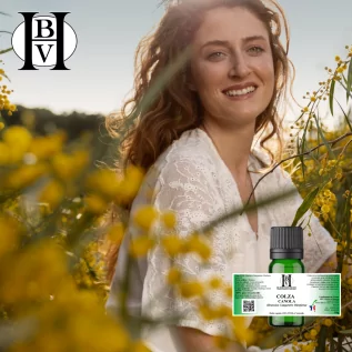 Canola (Raps) Pflanzenöl (Brassica Campestris Oleoferia) - HBV Öle und Butter