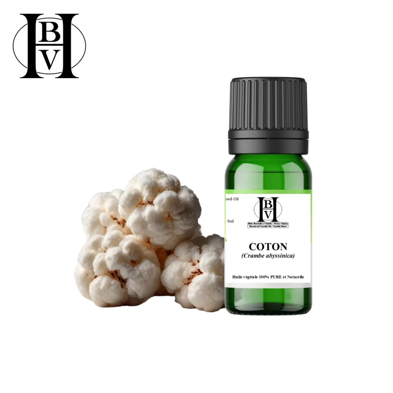 Coton huile végétale (Gossypium herbacé) - HBV Huiles et Beurres Coton huile végétale (Gossypium herbacé) - HBV Huiles et Beurres