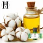 Pamuk tohumu bitkisel yağı (Gossypium herbaceous) - HBV Yağları ve Tereyağı
