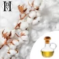 Cottonseed vegetable oil (Gossypium herbaceous) - HBV Oils and Butters
