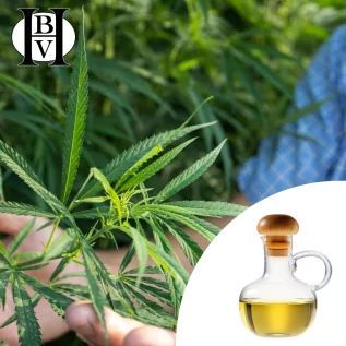 aceite vegetal de cáñamo