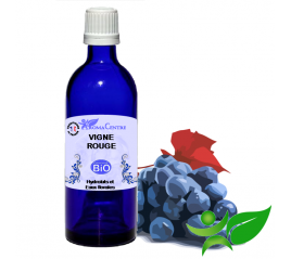 Vigne rouge BiO, Hydrolat (Vitis vinifera var. tinctoria) - Aroma Centre