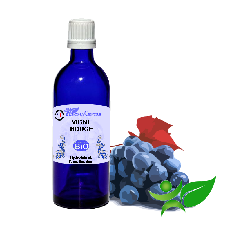 Vigne rouge BiO, Hydrolat (Vitis vinifera var. tinctoria) - Aroma Centre