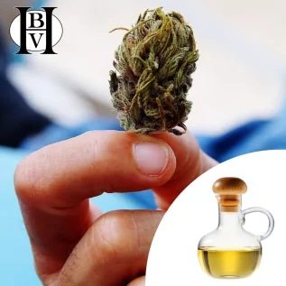 aceite vegetal de cáñamo refinado