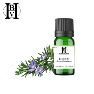 Echium Bitkisel Yağı (Echium Plantagineum) - HBV Yağları ve Tereyağı