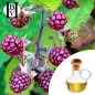 Framboise noire huile Végétale (Rubus occidentalis) - HBV Huiles et Beurres Framboise noire huile Végétale (Rubus occidentalis) - HBV Huiles et Beurres