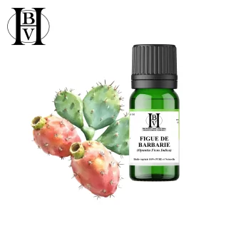 Pflanzenöl aus Feigenkaktus (Opuntia Ficus Indica) – HBV Öle und Butter