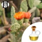 Aceite vegetal de tuna (Opuntia ficus indica) - Aceites y mantecas HBV