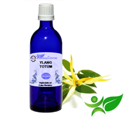 Ylang Ylang totum, Hydrolat (Cananga odorata totum) - Aroma Centre