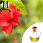 Hibiskus-Pflanzenöl (Hibiscus Sabdariffa) - HBV Öle und Butter
