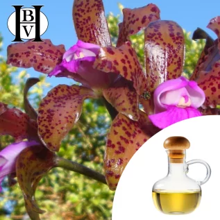 aceite vegetal de jojoba refinado
