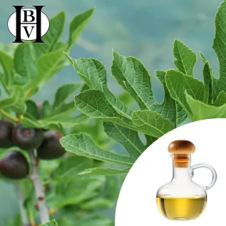 Aceite vegetal de ciruela Kakadu