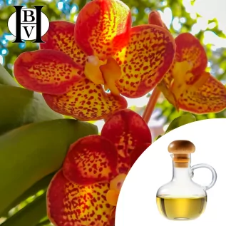 Aceite vegetal Kpangnan