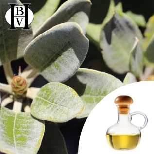 aceite vegetal de karité orgánico