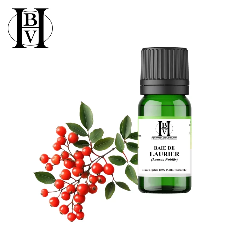 Defne Bitkisel Yağı (Laurus Nobilis) - HBV Yağları ve Tereyağı Defne Bitkisel Yağı (Laurus Nobilis) - HBV Yağları ve Tereyağı