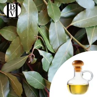 Aceite vegetal de laurel