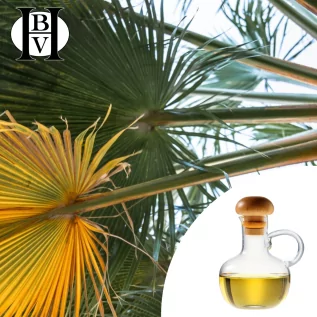 Aceite vegetal Licuri