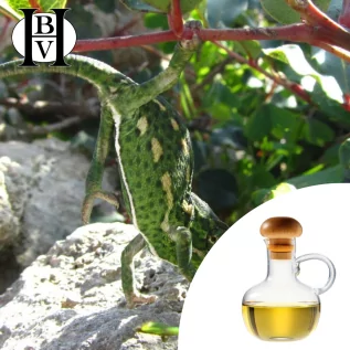 Aceite vegetal de calabaza Crest