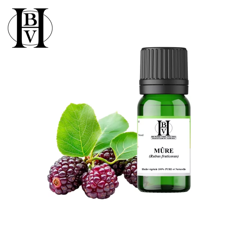 Brombeer-Pflanzenöl (Rubus fruticosus) - HBV Öle und Butter