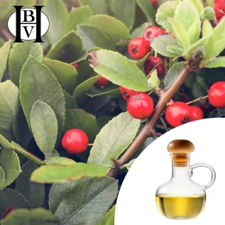 Cranberry-Pflanzenöl