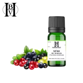 Marsh Blackberry Vegetable Oil (Vaccinium corymbosum) - HBV Oils and Butters