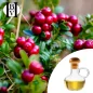 Bataklık Böğürtlen Bitkisel Yağı (Vaccinium corymbosum) - HBV Yağları ve Tereyağı