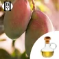 Mango-Pflanzenöl (Mangifera Indica) - HBV Öle und Butter