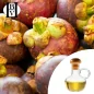 Mangoustan huile Végétale (Garcinia Mangostana) - HBV Huiles et Beurres Mangoustan huile Végétale (Garcinia Mangostana) - HBV Huiles et Beurres